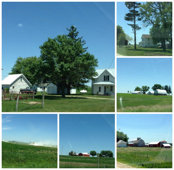 Iowa Farmland