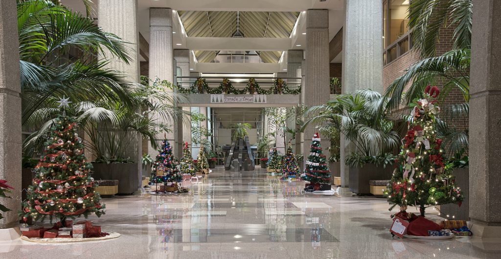 Farewell to a Parade of Trees Judy Nolan